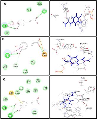 Phytoconstituents, In Vitro Anti-Infective Activity of Buddleja indica Lam., and In Silico Evaluation of its SARS-CoV-2 Inhibitory Potential